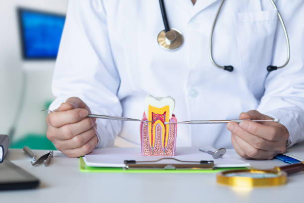 Best Orthodontic Emergency Dentist in Plafield, IN